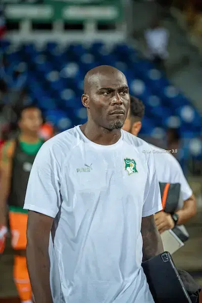 Guy Demel