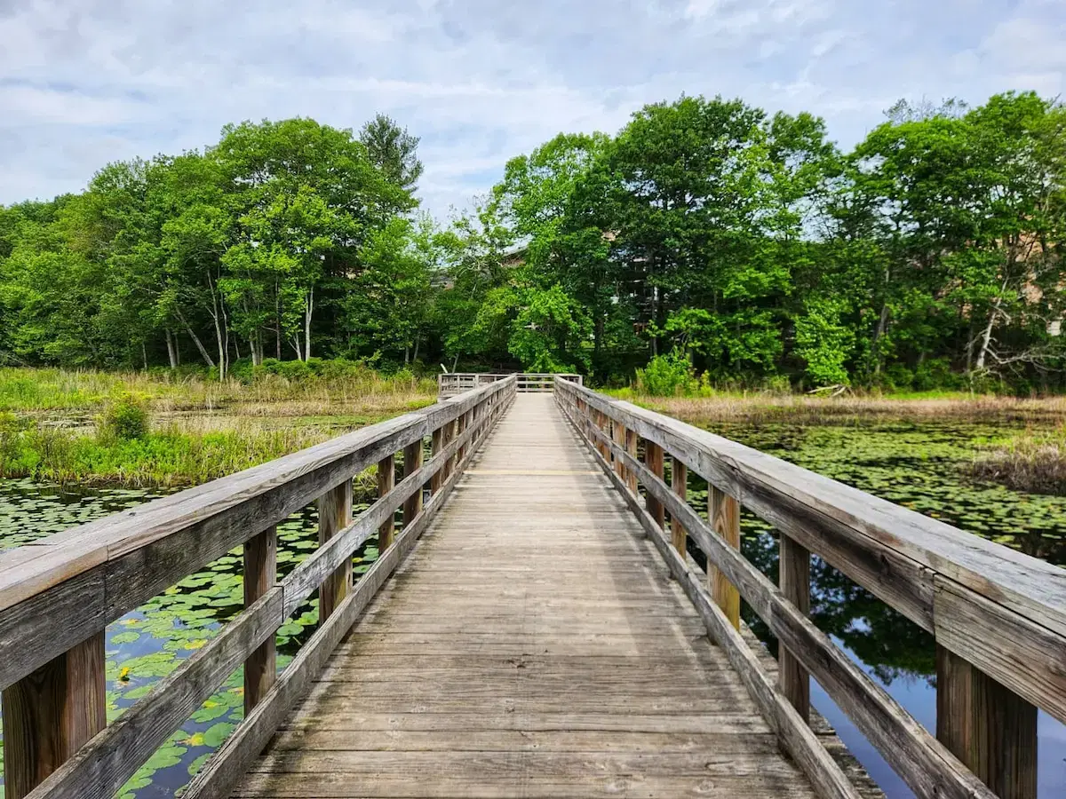 Nature Trail and Ocean Spray Cranberry Bog